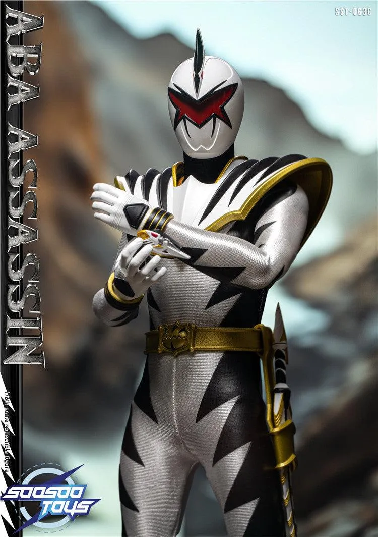 1:6 Aba Assassin Action Figure